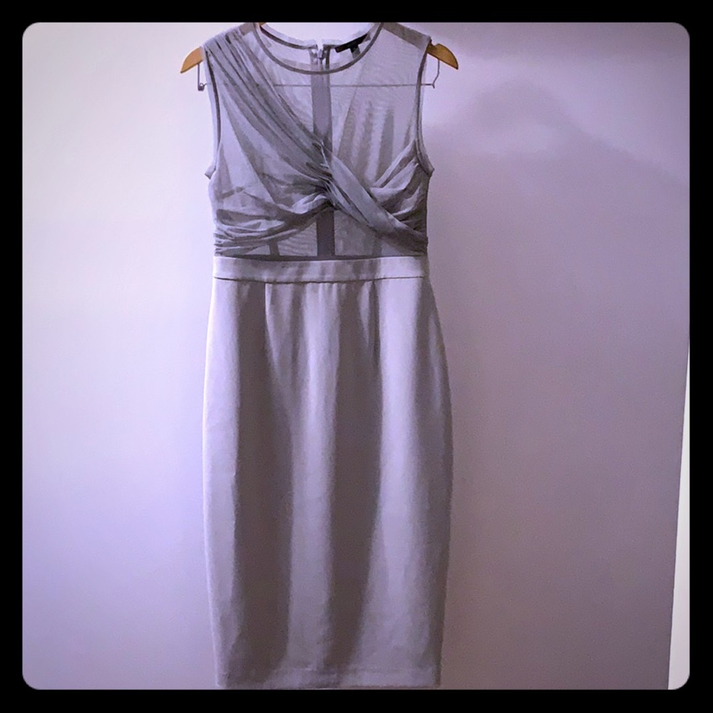 Lavender ish sexy midi. Mesh top, sheath bottom